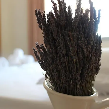 Appartement Lavandula Ring Tirana