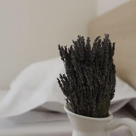 Lavandula Ring شقة