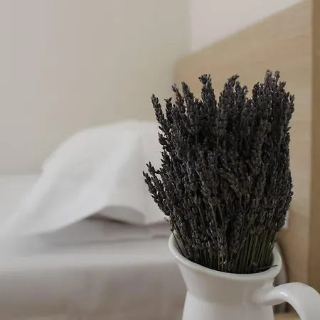 Appartamento Lavandula Ring *