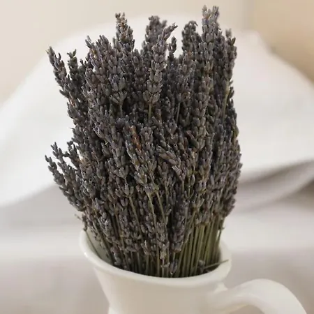 Apartamento Lavandula Ring *