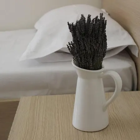 Lavandula Ring تيرانا